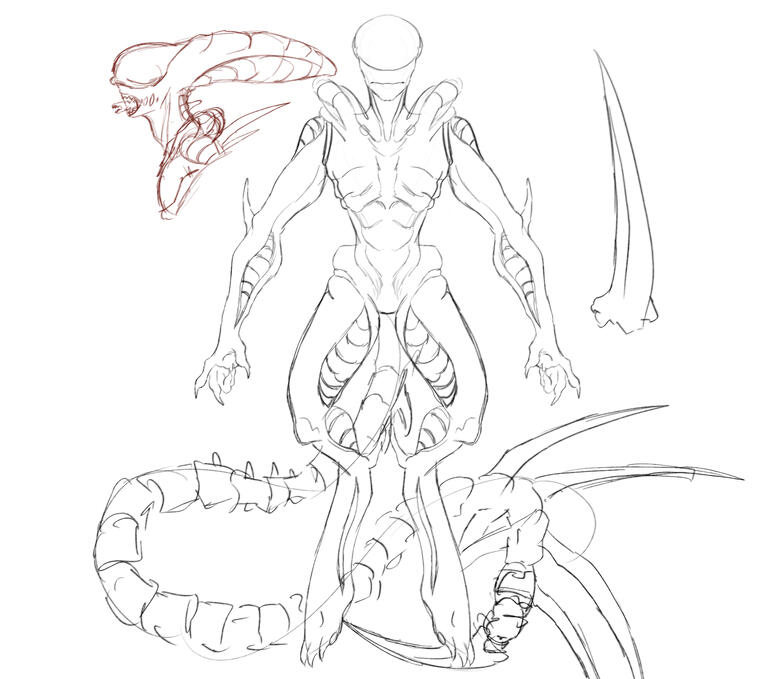 xenomorph model concept